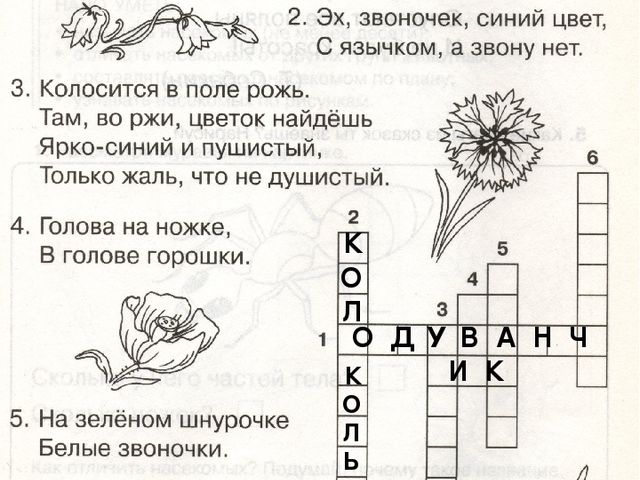 Презентация по окружающему миру "Растительный мир.Цветы"
