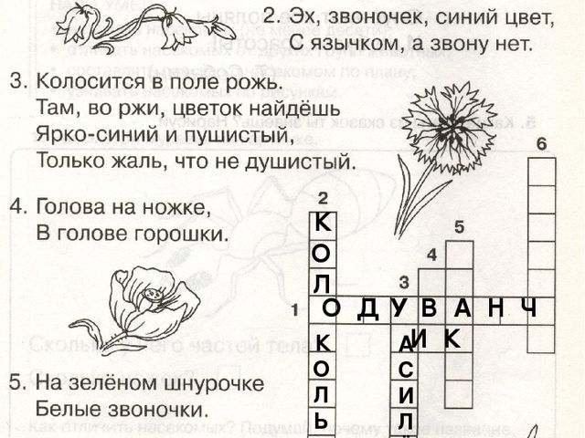 Презентация по окружающему миру "Растительный мир.Цветы"