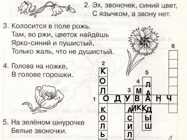 Презентация по окружающему миру "Растительный мир.Цветы"