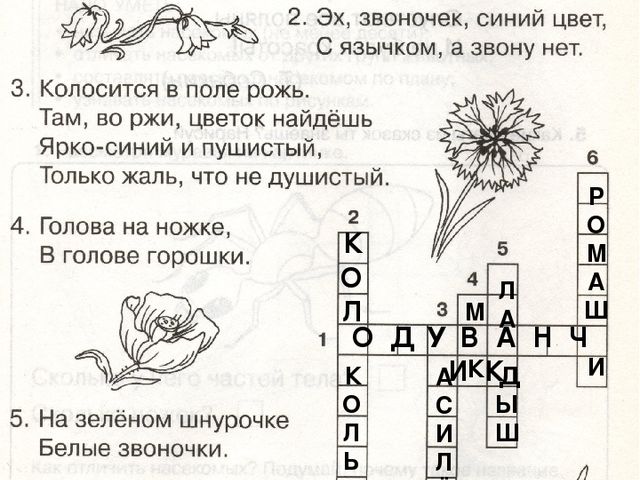 Презентация по окружающему миру "Растительный мир.Цветы"