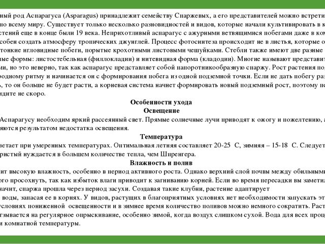 Комнатные растения (средняя группа)