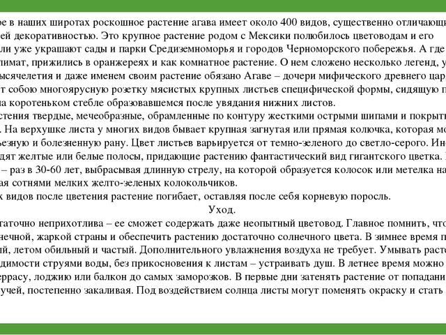 Комнатные растения (средняя группа)