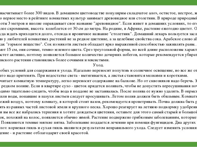 Комнатные растения (средняя группа)