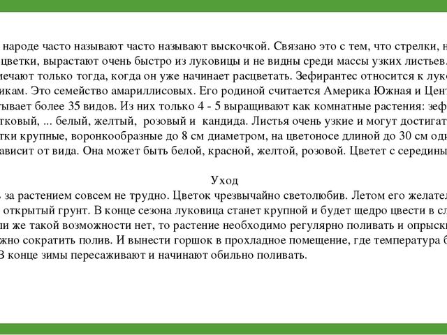 Комнатные растения (средняя группа)