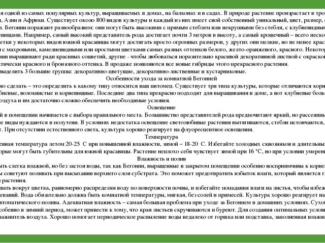 Комнатные растения (средняя группа)