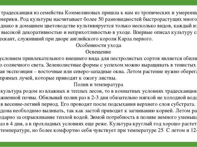 Комнатные растения (средняя группа)