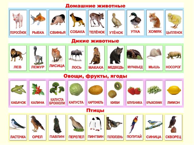 Интегрированный подход в использовании инновационных технологий раннего обучения чтению дошкольников