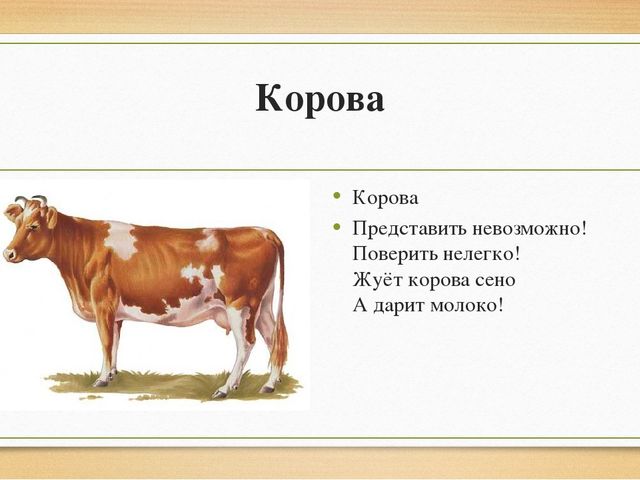 Презентация "Домашние животные" для детей старшей группы