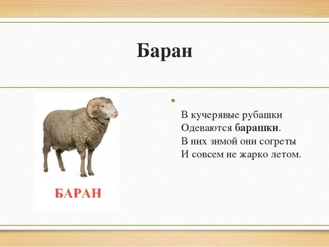 Презентация "Домашние животные" для детей старшей группы