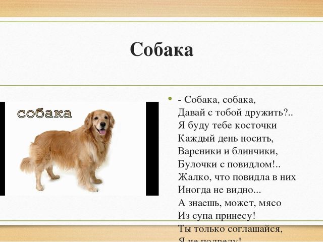 Собак данные. Собака собака давай с тобой дружить. Песня про собаку. Ты собака. Ты собака я собака ты собака я собака.