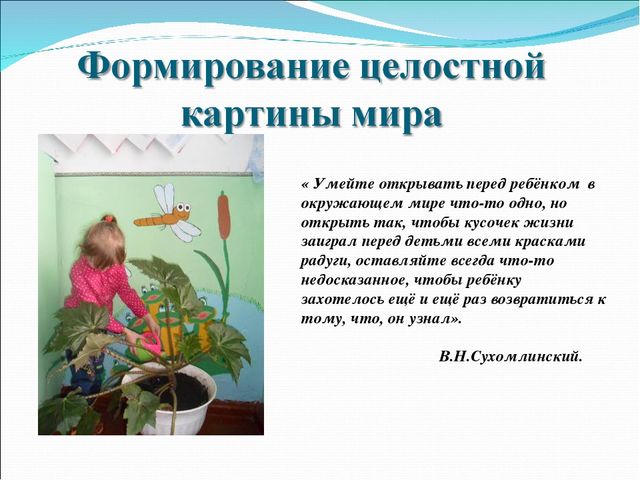 "Интерес к познанию-надёжная основа воспитания в рамках внедрения ФГОС"