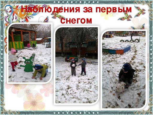 Презентация Орловой В.В. по педагогическому проекту "Человек и природа"