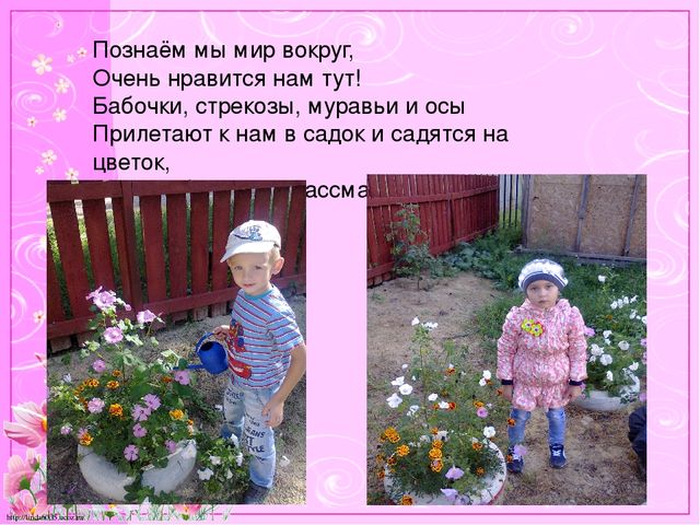 Презентация на тему "Отчёт о летней оздоровительной работе в старшей группе ДОУ"