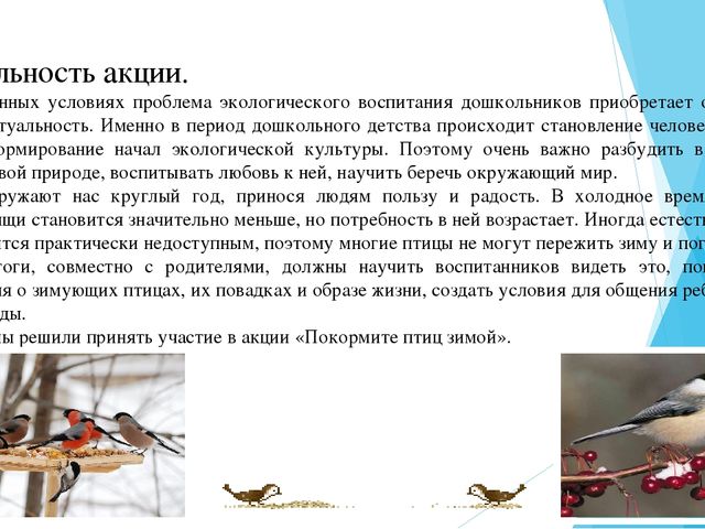 Экологическая акция "Покормите птиц" (2-я младшая группа)