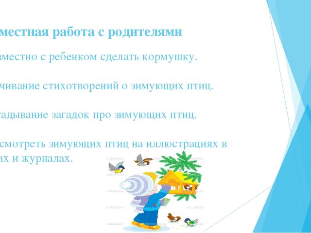 Экологическая акция "Покормите птиц" (2-я младшая группа)
