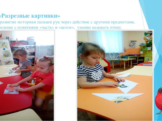 Экологическая акция "Покормите птиц" (2-я младшая группа)