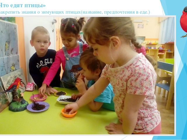 Экологическая акция "Покормите птиц" (2-я младшая группа)