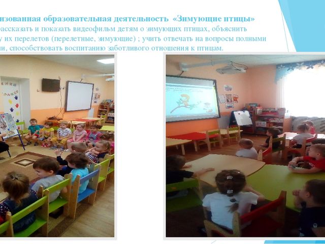 Экологическая акция "Покормите птиц" (2-я младшая группа)