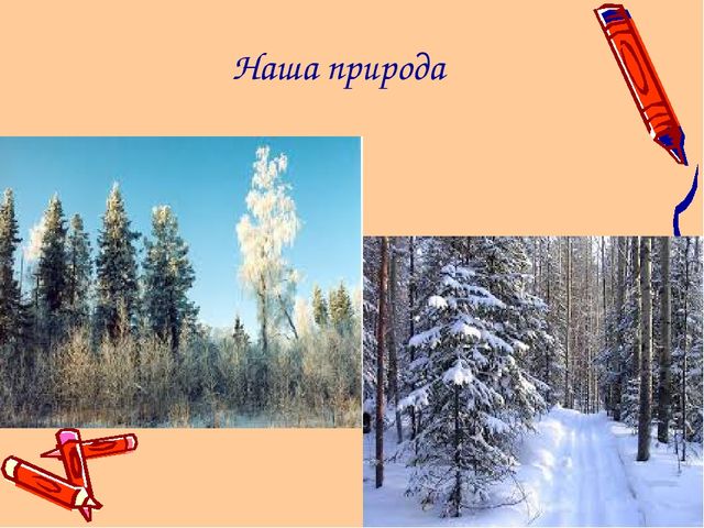 Ямал наш - край!