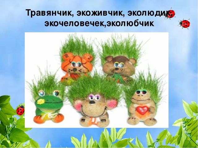 V открытый педагогический Фестиваль Курского района “Симфония урока - 2016” Мастер-класс «Проектная деятельность «Травянчики»»