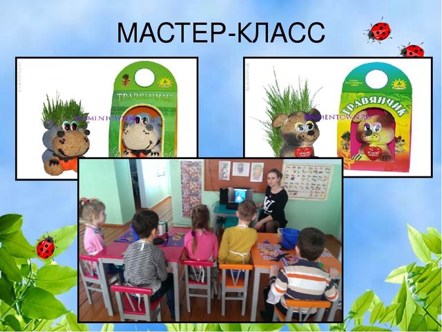V открытый педагогический Фестиваль Курского района “Симфония урока - 2016” Мастер-класс «Проектная деятельность «Травянчики»»