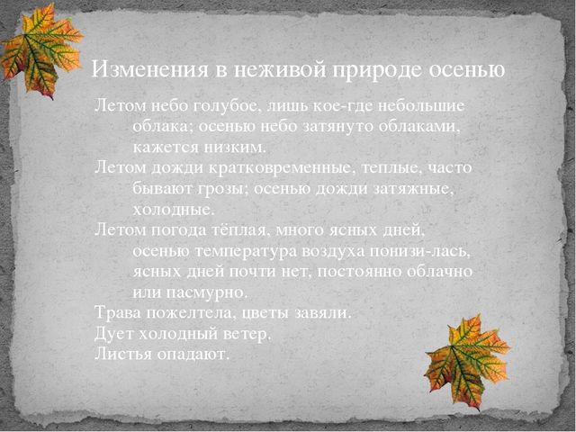 Презентация для детского сада "Осень"