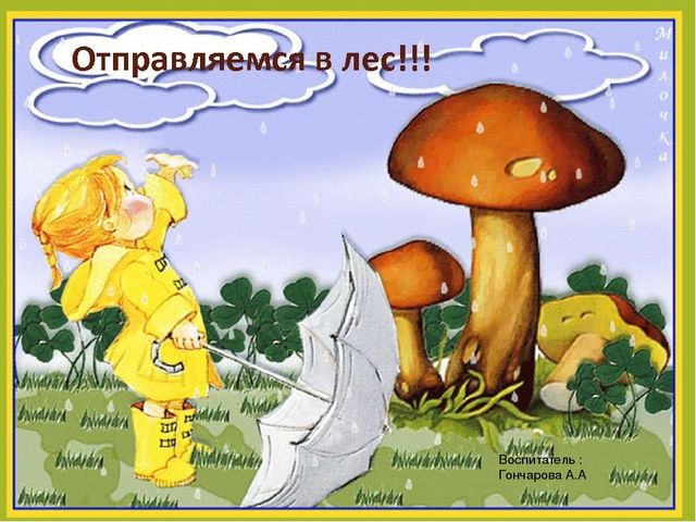 Презентация для дошкольников "Дикие животные"