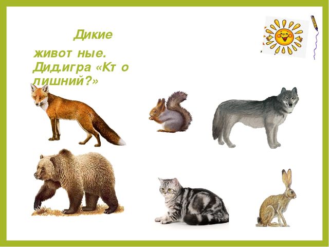 Презентация для дошкольников "Дикие животные"