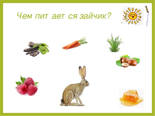 Презентация для дошкольников "Дикие животные"