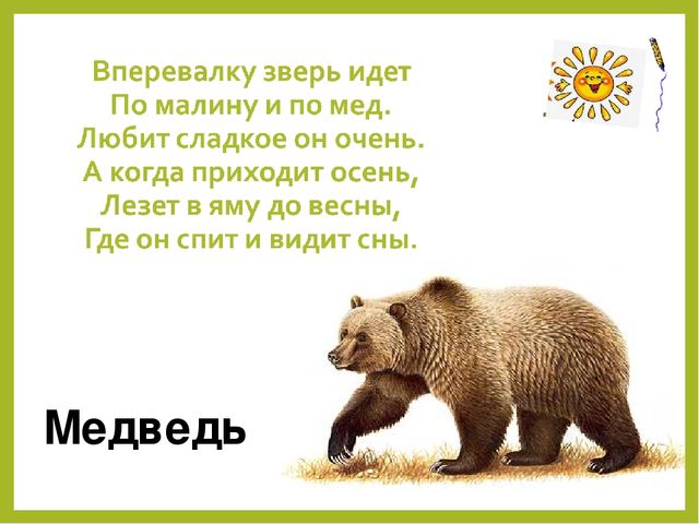 Презентация для дошкольников "Дикие животные"
