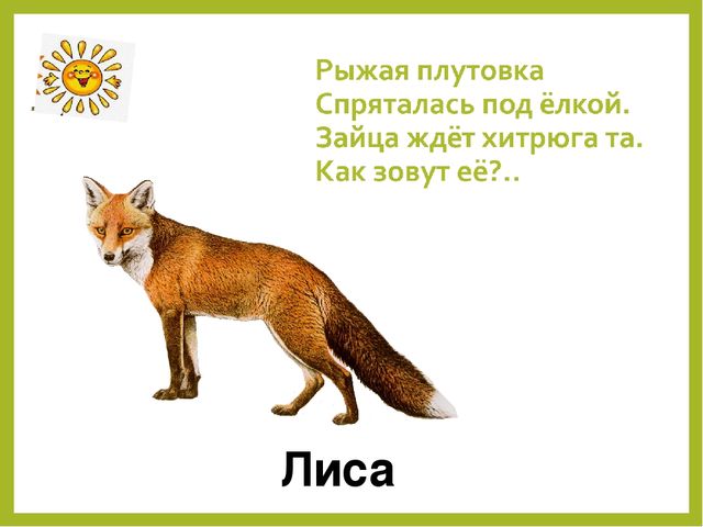 Презентация для дошкольников "Дикие животные"