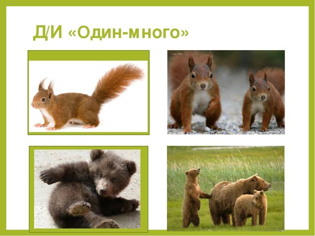 Презентация для дошкольников "Дикие животные"