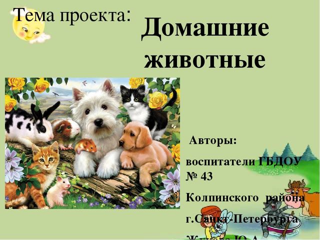 Презентация по краткосрочному проекту "Домашние животные" (для детей 1,5 - 3 лет)