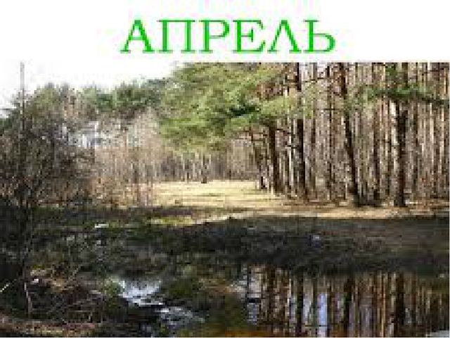 Презентация к конспекту ООД "Путешествие в страну красивой речи"