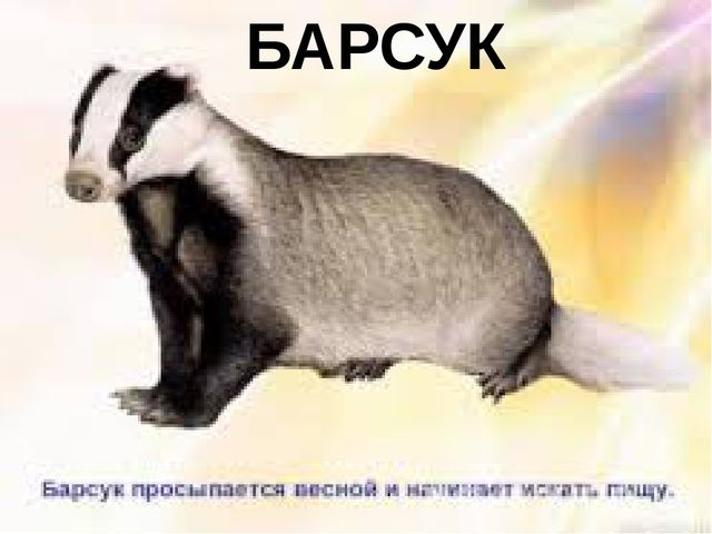 Презентация к конспекту ООД "Путешествие в страну красивой речи"