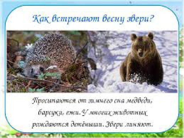 Презентация к конспекту ООД "Путешествие в страну красивой речи"