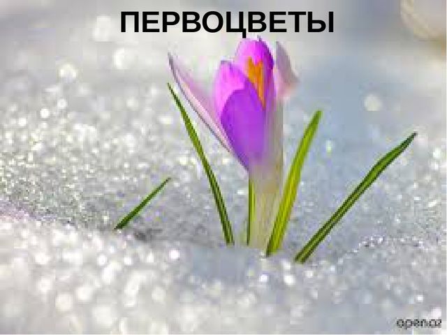Презентация к конспекту ООД "Путешествие в страну красивой речи"