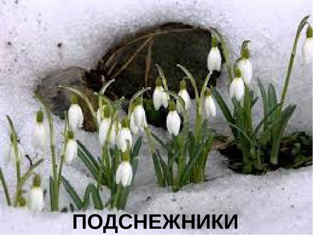 Презентация к конспекту ООД "Путешествие в страну красивой речи"