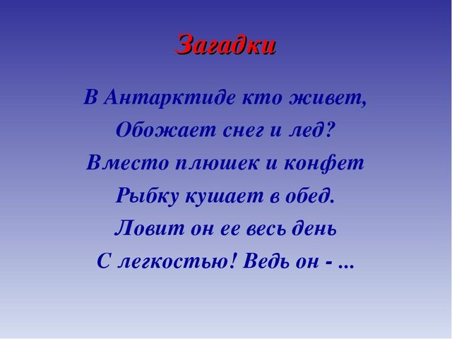 Презентация для дошкольников по теме "Животные Севера" (дидактические игры и упражнения)