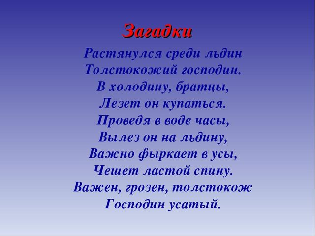 Презентация для дошкольников по теме "Животные Севера" (дидактические игры и упражнения)