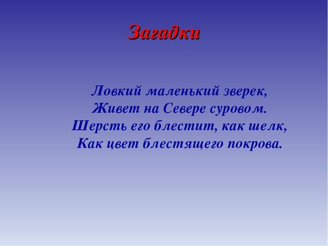 Презентация для дошкольников по теме "Животные Севера" (дидактические игры и упражнения)