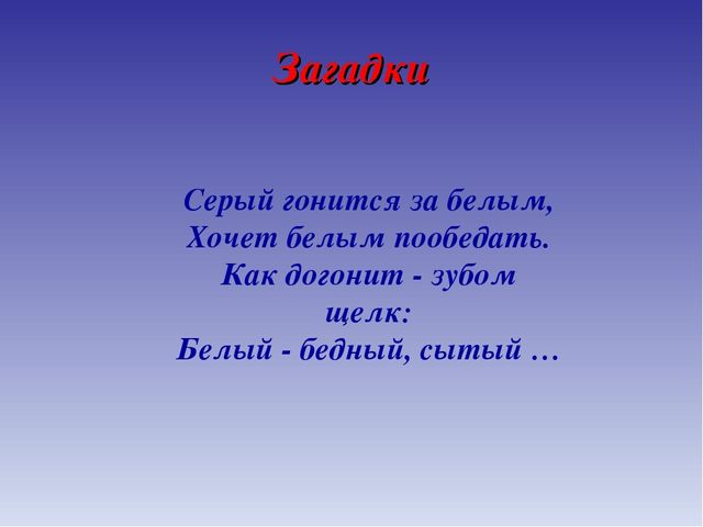 Презентация для дошкольников по теме "Животные Севера" (дидактические игры и упражнения)