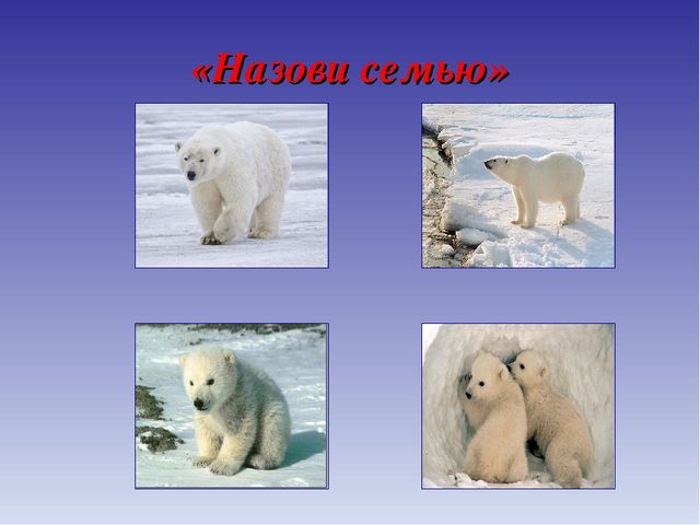 Презентация для дошкольников по теме "Животные Севера" (дидактические игры и упражнения)