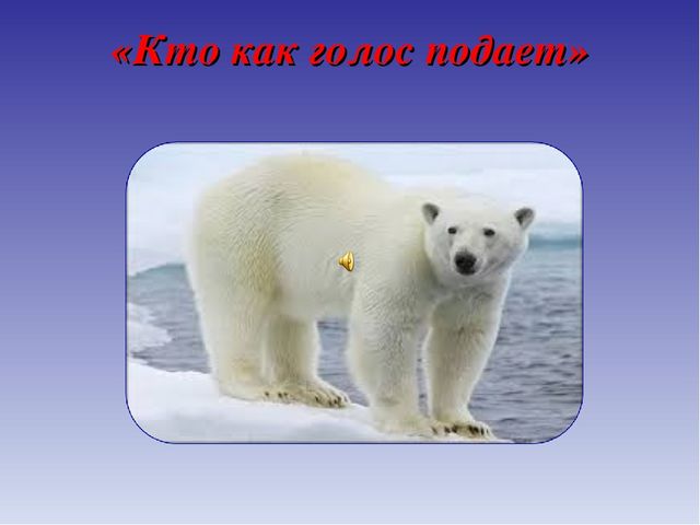 Презентация для дошкольников по теме "Животные Севера" (дидактические игры и упражнения)