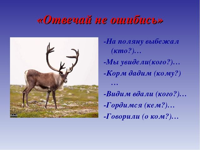 Презентация для дошкольников по теме "Животные Севера" (дидактические игры и упражнения)