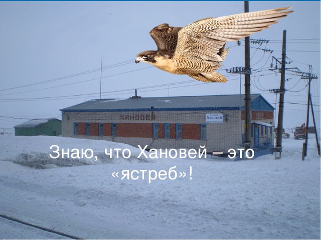 Презентация "Вот такой я вижу нашу Коми землю, и об этом чуде я вам расскажу""