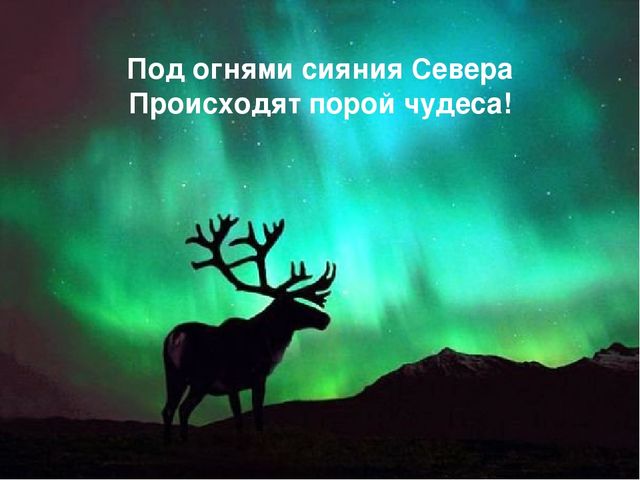 Презентация "Вот такой я вижу нашу Коми землю, и об этом чуде я вам расскажу""
