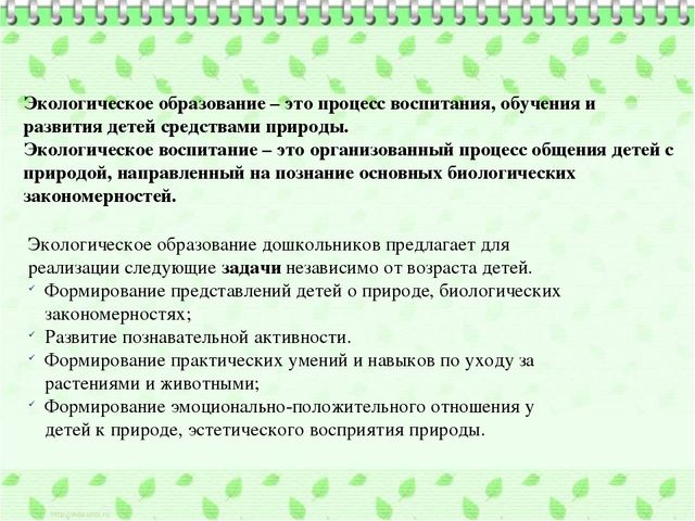 Организация познавательно-исследовательской деятельности дошкольников в процессе экологического воспитания