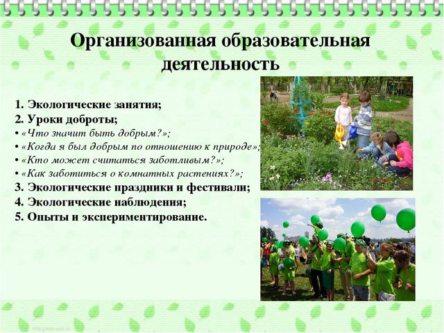 Организация познавательно-исследовательской деятельности дошкольников в процессе экологического воспитания