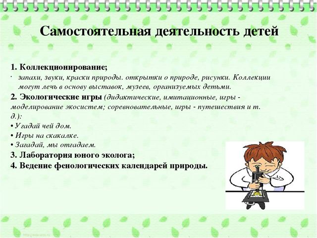 Организация познавательно-исследовательской деятельности дошкольников в процессе экологического воспитания